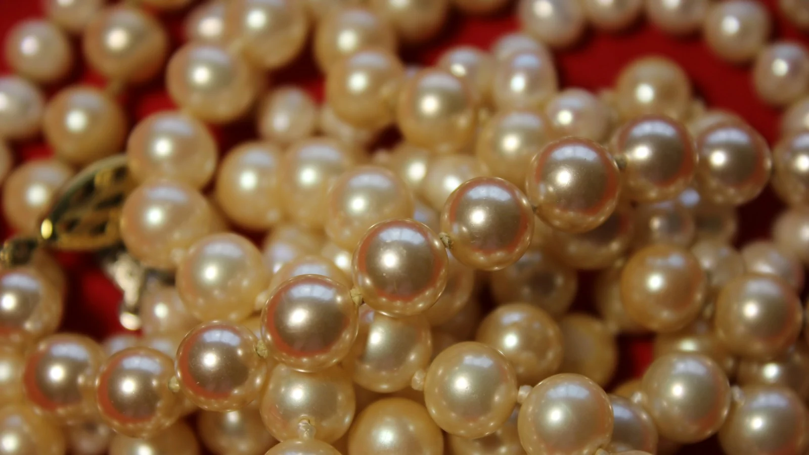 Pile of cream and golden-toned pearls